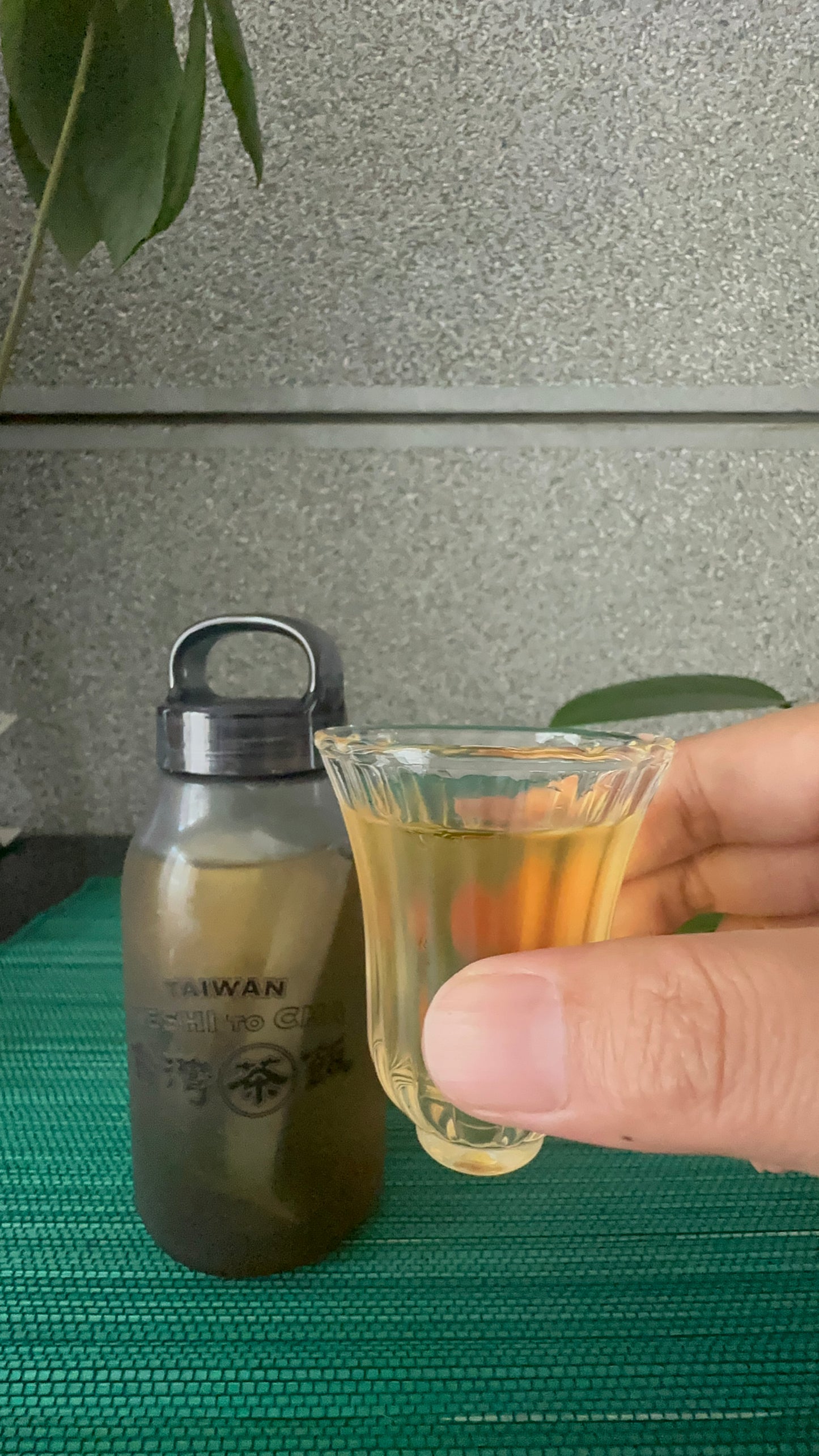 【香日子】台湾茶 黑烏龍茶 (黒ウーロン茶)ティーパック3x 6袋 18g