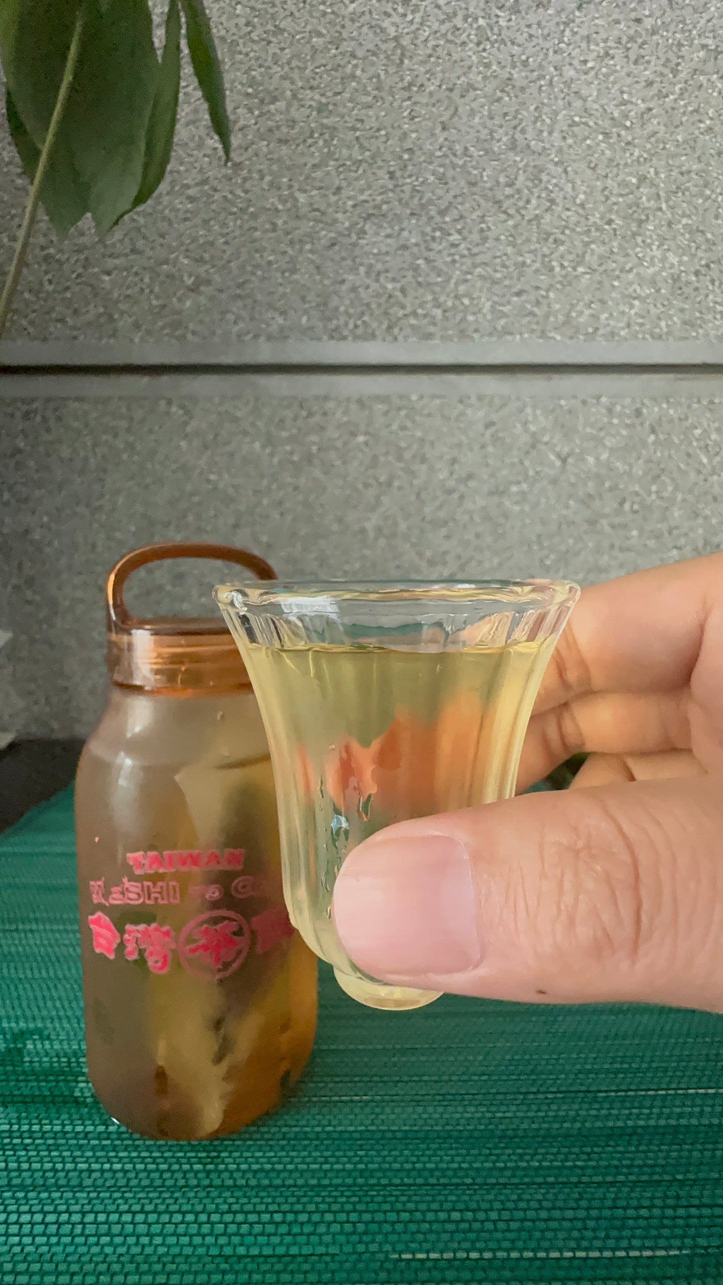 【香日子】台湾茶 花香 紅烏龍茶(花の香りのリラックス)紅烏龍 ティーパック3gx 12袋36g