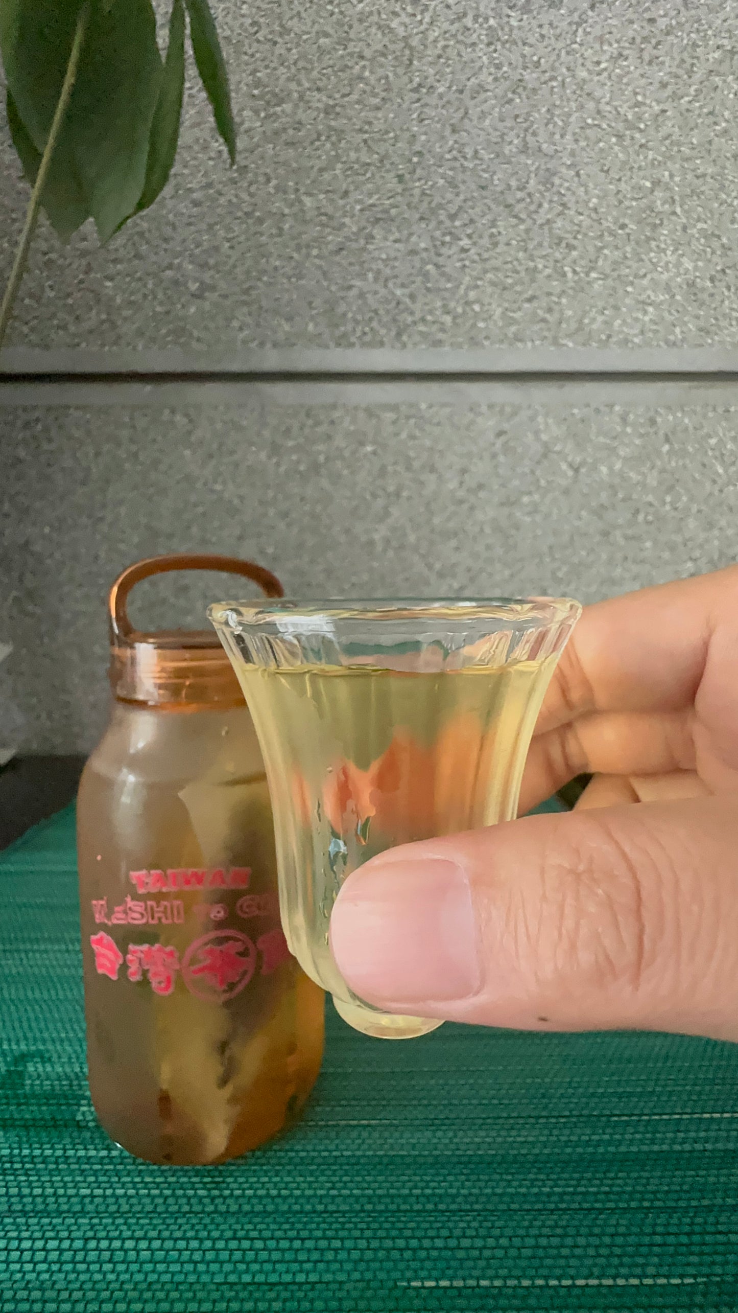 【香日子】台湾茶 花香 紅烏龍茶(花の香りのリラックス)紅烏龍 お茶缶50g