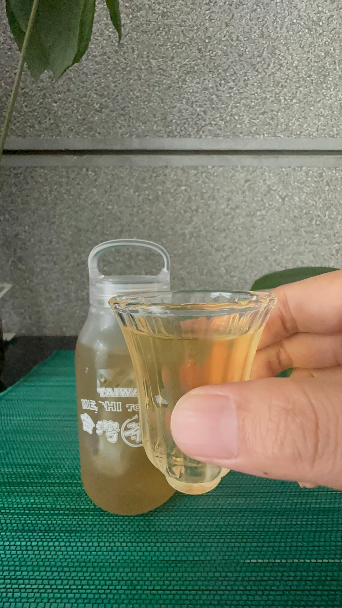 【香日子】台湾茶 桂花烏龍GABA茶(キンモクセイGABA)烏龍茶 ティーパック3gx 12袋36g